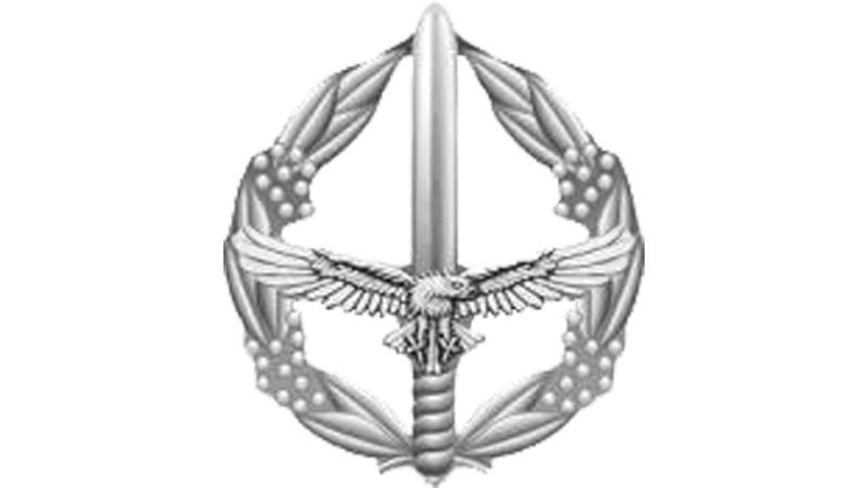 Air Force Ground Combat Badge