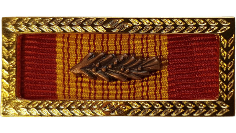 Republic of Vietnam Cross of Gallantry with Palm Unit Citation